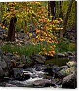 Oak Creek Canyon H Canvas Print