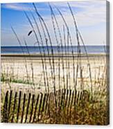 Ocean Dunes Canvas Print