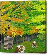 October Pasture Canvas Print