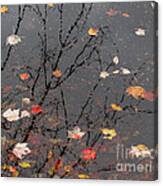 October Song 3 Canvas Print