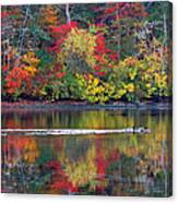 October's Colors Canvas Print