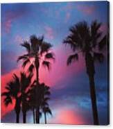 Oh Socal  I Really Really Like You Canvas Print