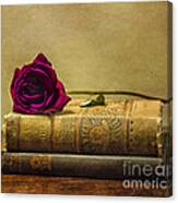 Old Book Love Canvas Print