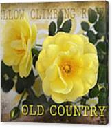 Old Country Roses Canvas Print