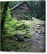Old Mountain Cabin Canvas Print