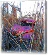 Old Pink Car In The Weeds Canvas Print