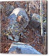 Old Rag Hiking Trail - 121220 Canvas Print