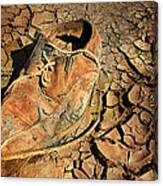 Old Shoe In The Middle Of Cracked Earth Canvas Print