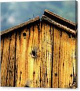 Old Weathered Wooden Siding Canvas Print