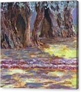 Olive Trees Gethsemane Canvas Print