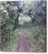 On A Trail And Exploring. #happy Canvas Print