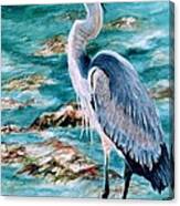 On The Rocks Great Blue Heron Canvas Print