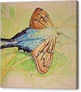 One Day In A Long-tailed Skipper Moth's Life Canvas Print