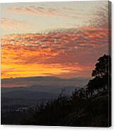 One Lonely Tree Canvas Print