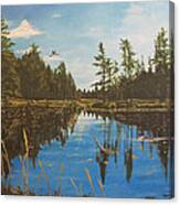 O'neal Lake Canvas Print