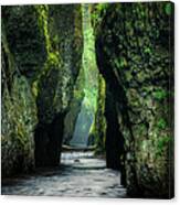 Oneonta Gorge Canvas Print