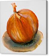 Onion Study Canvas Print