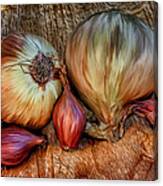 Onions And Scallions Canvas Print