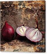 Onions Canvas Print