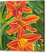 Orange Lilies Canvas Print