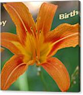 Orange Lily Birthday 1 Canvas Print