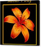 Orange Lily Mothers Day Card Canvas Print