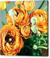 Orange Ranunculus Bouquet Canvas Print