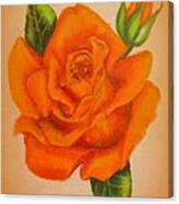 Orange Rose Canvas Print