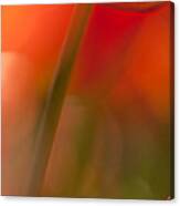 Orange Tulip Abstract Canvas Print