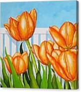 Orange Tulips In My Garden Canvas Print
