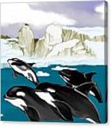Orcas Canvas Print