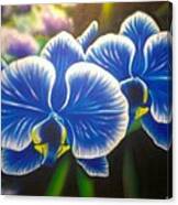 Orchid-strated Blues Canvas Print