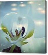 Dreamy And Stunning Canvas Print