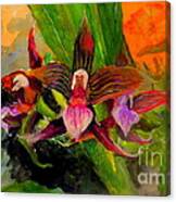Orchiid Canvas Print