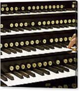 Organ Keyboards Canvas Print