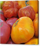 Organic Heirloom Tomatoes Canvas Print