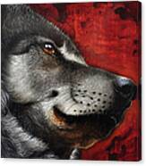 Orion Wolf Canvas Print