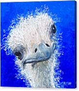 Ostrich Painting 'waldo' By Jan Matson Canvas Print