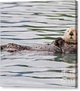 Otterly Adorable Canvas Print