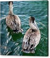 Out For A Swim Canvas Print