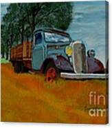 Out To Pasture Canvas Print