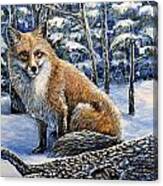 Outfoxed Canvas Print