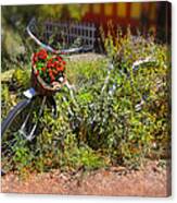 Overgrown Bicycle With Flowers Canvas Print