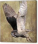 Owl In Flight Canvas Print