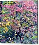 Ozarks Autumn Canvas Print