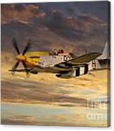 P-51 Ferocious Frankie Canvas Print