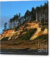 Pacific Coastline Canvas Print