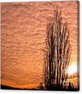 Pacific Northwest Winter's Sky Canvas Print