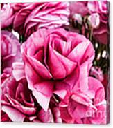 Paint Me Pink Ranunculus Flowers By Diana Sainz Canvas Print