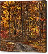 Painted Autumn Country Roads Canvas Print